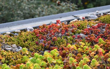 the cost of Stapeley green roof installation