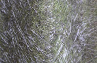 Stapeley fibreglass roof work